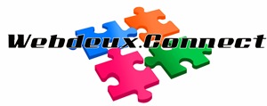 Logo webdeux-connect-flashy